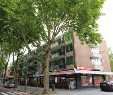 apartments for rent on Schammenkamp